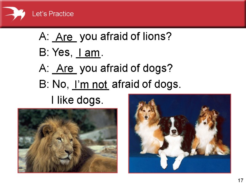 17   A: ____ you afraid of lions?   B: Yes, ____.